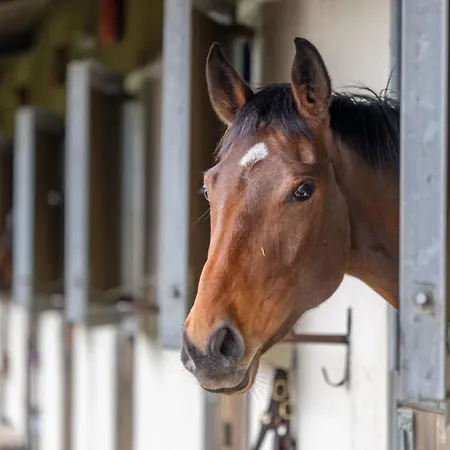בית נופש Sun Hill