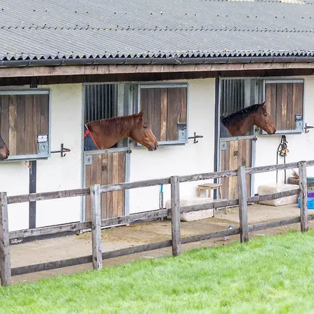 בית נופש Sun Hill