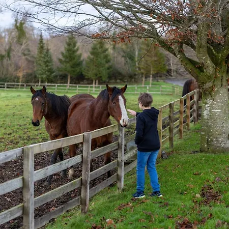 בית נופש Sun Hill *