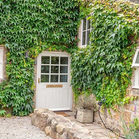 Sun Hill * לייבורן